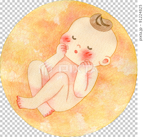 Image illustration of the fetus Image illustration of the fetus 91224825