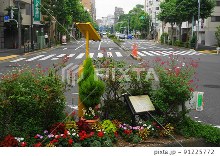 6月　新宿405都電早稲田駅前･新目白通り 91225772