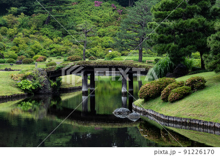 雨の日の日本庭園　6月　六義園 91226170