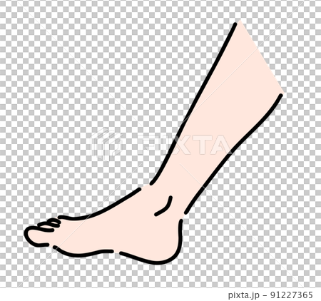 小腿/腳插圖 91227365
