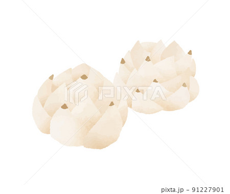 ゆり根 ゆり根 91227901