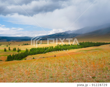 Collective camping with a green lawn in an eco-friendly green pl 91228729