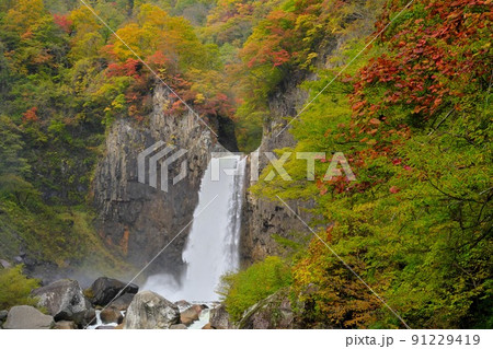 妙高の苗名滝に紅葉始まる 91229419