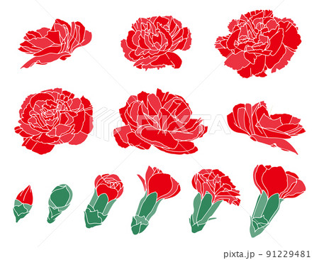 カーネーション 花のみ セット2のイラスト素材 [91229481] - PIXTA