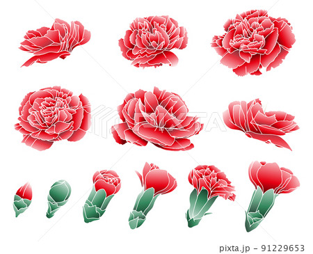イギリスアンティーク 花イラスト入り装飾額入れ 花カーネーション イギリスアンティーク 花イラスト入り装飾額入れ 花カーネーション
