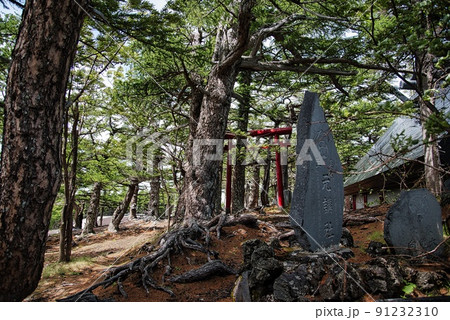 小御嶽神社(初夏 晴天 富士山 五合目 朱色の鳥居 石碑) 小御嶽神社(初夏 晴天 富士山 五合目 朱色の鳥居 石碑) 91232310