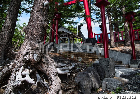 小御嶽神社（初夏　晴天　富士山五合目　朱色の鳥居　樹々） 91232312