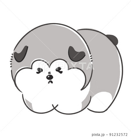 アラスカンマラミュート左向き 91232572