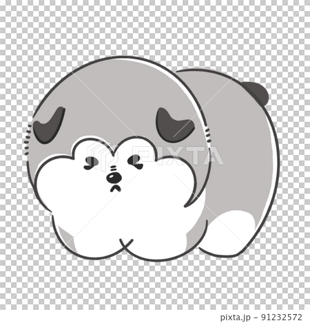 アラスカンマラミュート左向き 91232572