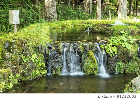 富士湧水の里森の中の水族館小川の小さな滝 91232603