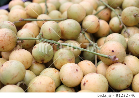 Tasty Baccaurea motleyana Stock on shop for sell 91232746