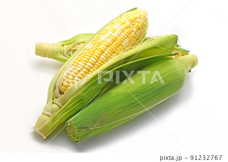 とうもろこし（ドルチェドリーム） 91232767