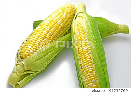 とうもろこし（ドルチェドリーム） 91232769