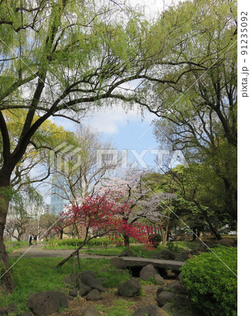 春の芝公園 91235092