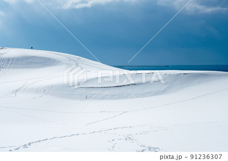 雪の造形　（鳥取砂丘） 91236307