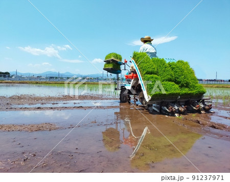 青空の下で田植え機に乗って田植えをする田舎の風景 91237971