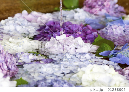 彩の手水舎 91238005