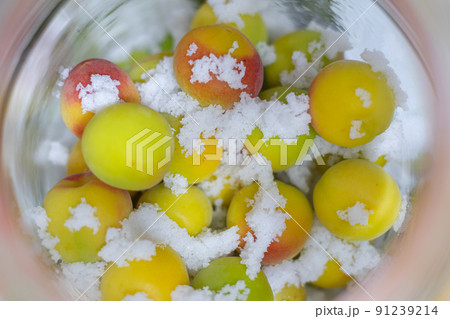 梅しごと 91239214