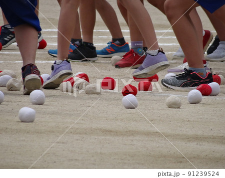 紅白玉入れ 紅白玉入れ 91239524