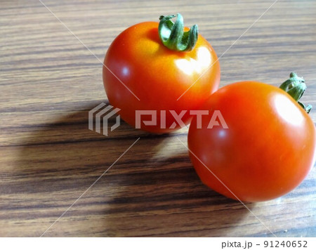 採れたてトマト 91240652