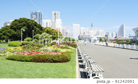 神奈川県横浜市山下公園の初夏 91242001