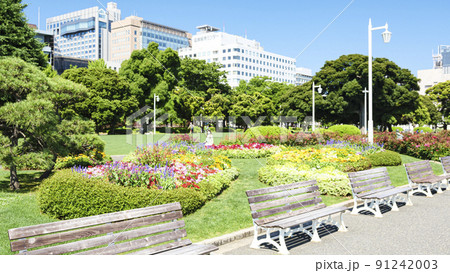 神奈川県横浜市山下公園の初夏 91242003