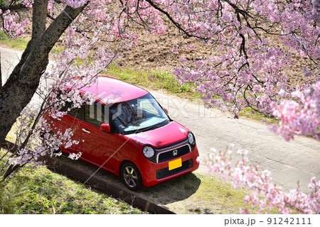 赤い車と桜 91242111