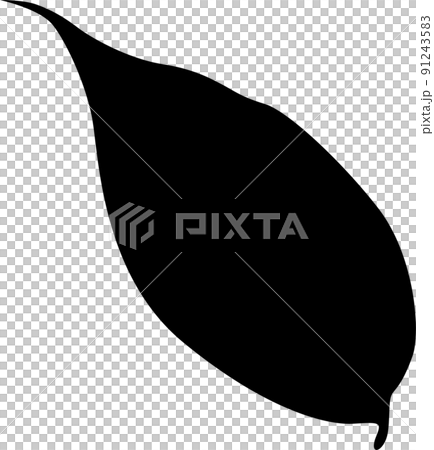 秋天的落葉 91243583