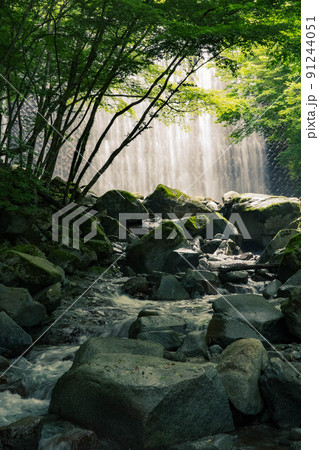 畔ヶ丸の苔と新緑と滝 91244051