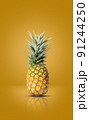 yellow pineapple mixed with green put on a orange background  91244250