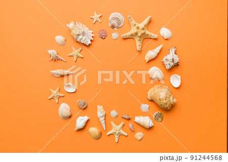 Summer time concept on colored background. Seashells from ocean shore in the shape of frame separated with space for text top view Summer time concept on colored background. Seashells from ocean shore in the shape of frame separated with space for text top view 91244568
