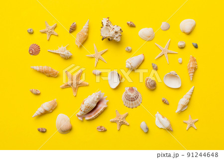 Summer time concept Flat lay composition with beautiful starfish and sea shells on colored table, top view Summer time concept Flat lay composition with beautiful starfish and sea shells on colored table, top view 91244648