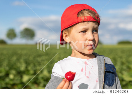 Portrait of little cute adorable caucasian happy smiling boy wear red cap enjoy eating fresh ripe sweet strawberry picking harvest at farm field on sunny day. Healthy organic berries foo concept 91246203