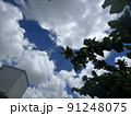 街中で空を見上げる 91248075