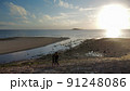 ドローンにて海を空撮 91248086
