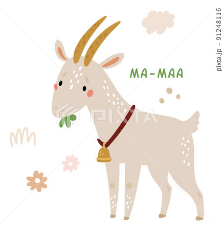Cute goat talking. Animal on farm with ma-maa sound 91248116