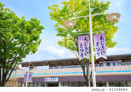 蒲郡市 蒲郡駅前のあじさい祭りののぼり旗 蒲郡市 蒲郡駅前のあじさい祭りののぼり旗 91248684
