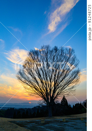 鞠智城「歴史公園・夕焼け空」 91248725
