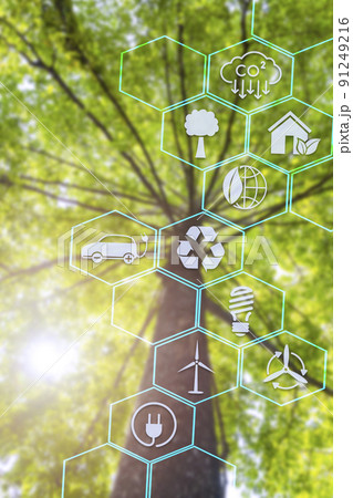 Symbol of protecting the planet from global warming and climate change. Development into business for environment from renewable energy Reduce fuel consumption, reduce greenhouse effect, plant trees 91249216