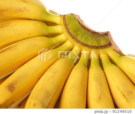 bananas bananas 91249310