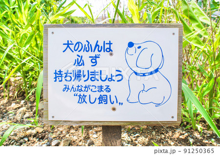 犬のフンは持ち帰りましょうの啓蒙看板 犬のフンは持ち帰りましょうの啓蒙看板 91250365