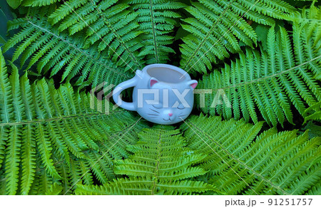 A cup in the shape of a cat's head in the center of a green background of a shuttlecock fern. 91251757