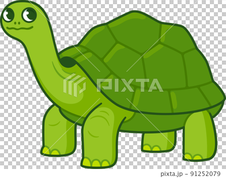 Cute Turtle Coloring Vector & Photo (Free Trial) | Bigstock