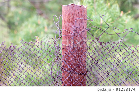 Mesh old ragged cage in the garden and a rusty pole with green grass as a background. Metal fence with wire mesh. Metal fence made of steel iron mesh. Abstract background. copy space. 91253174