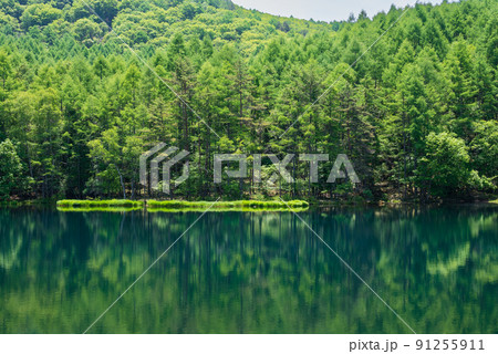 緑深まる御射鹿池 91255911