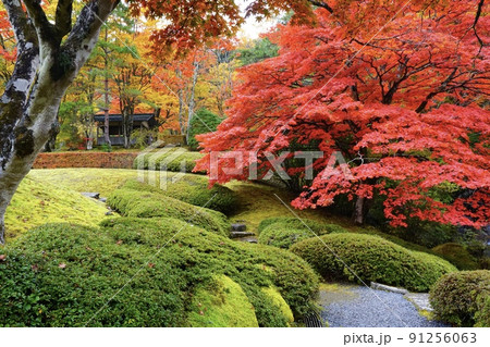 古峯神社 古峯園の紅葉 栃木県鹿沼市 91256063