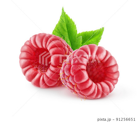 Two isolated raspberry fruits with leaf Two isolated raspberry fruits with leaf 91256651
