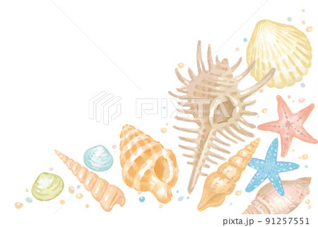 海の貝、ヒトデのフレーム、背景。水彩画風、ベクターイラスト素材。 91257551