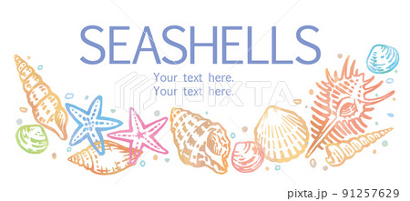 海の貝、ヒトデのフレーム。水彩画風、ベクターイラスト素材。 91257629