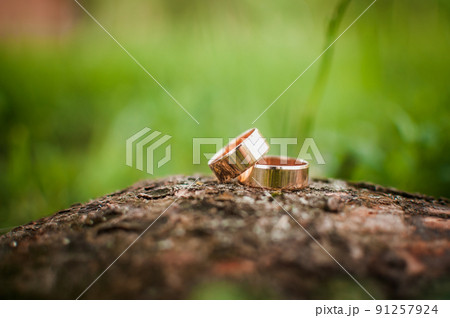 Pair of gold wedding rings on the tree bark 91257924